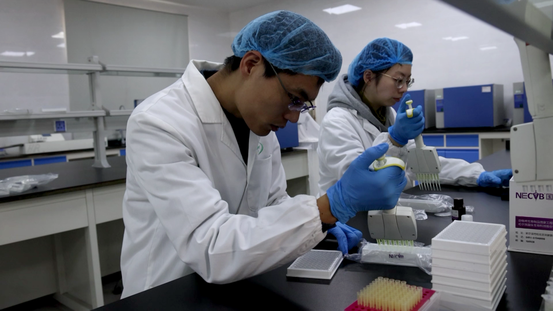 圣农集团实现“中国智造”全面的科技反垄断 圣农集团实现“中国智造”全面的科技反垄断